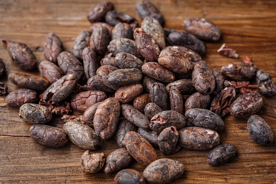 CocoaRoast Dark Cocoa Powder (500g)