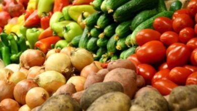 food-security-3-e1758054669756-390×220-1