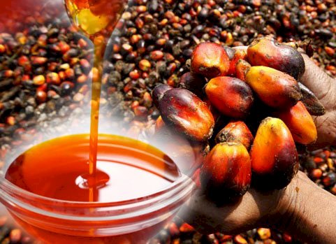 GreenHarvest Palm Oil (1L)